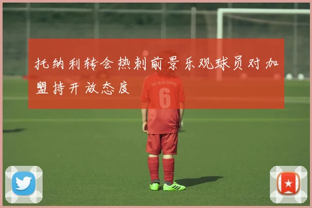 托纳利转会热刺前景乐观球员对加盟持开放态度