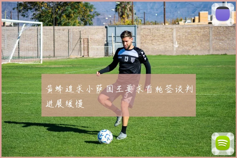 黄蜂追求小萨国王要求首轮签谈判进展缓慢